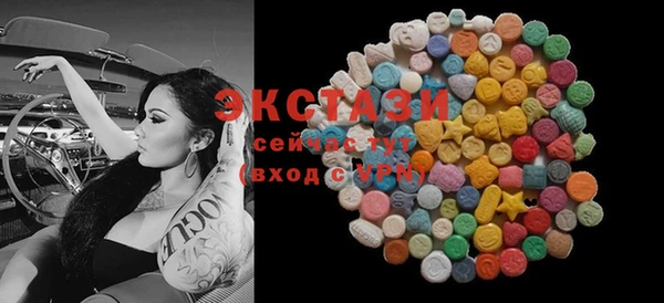 гидра Гатчина