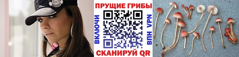 Галлюциногенные грибы Cubensis  ОМГ ОМГ вход  Чебаркуль  продажа наркотиков 