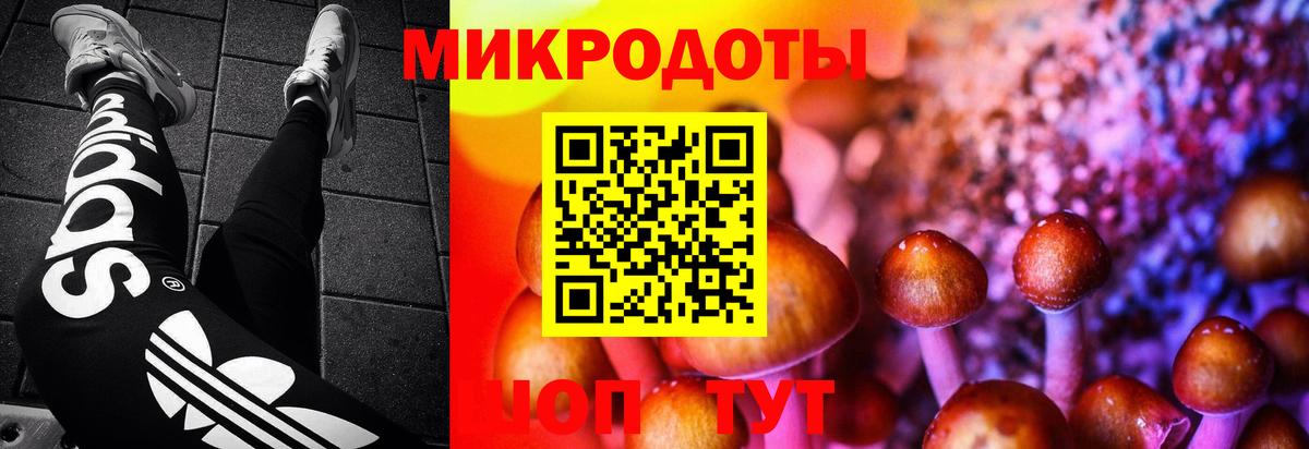 Псилоцибиновые грибы Magic Shrooms Чебаркуль