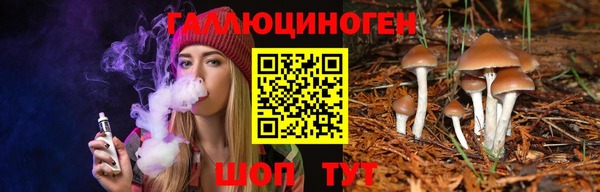 Псилоцибиновые грибы Cubensis  Вход с VPN  Чебаркуль 